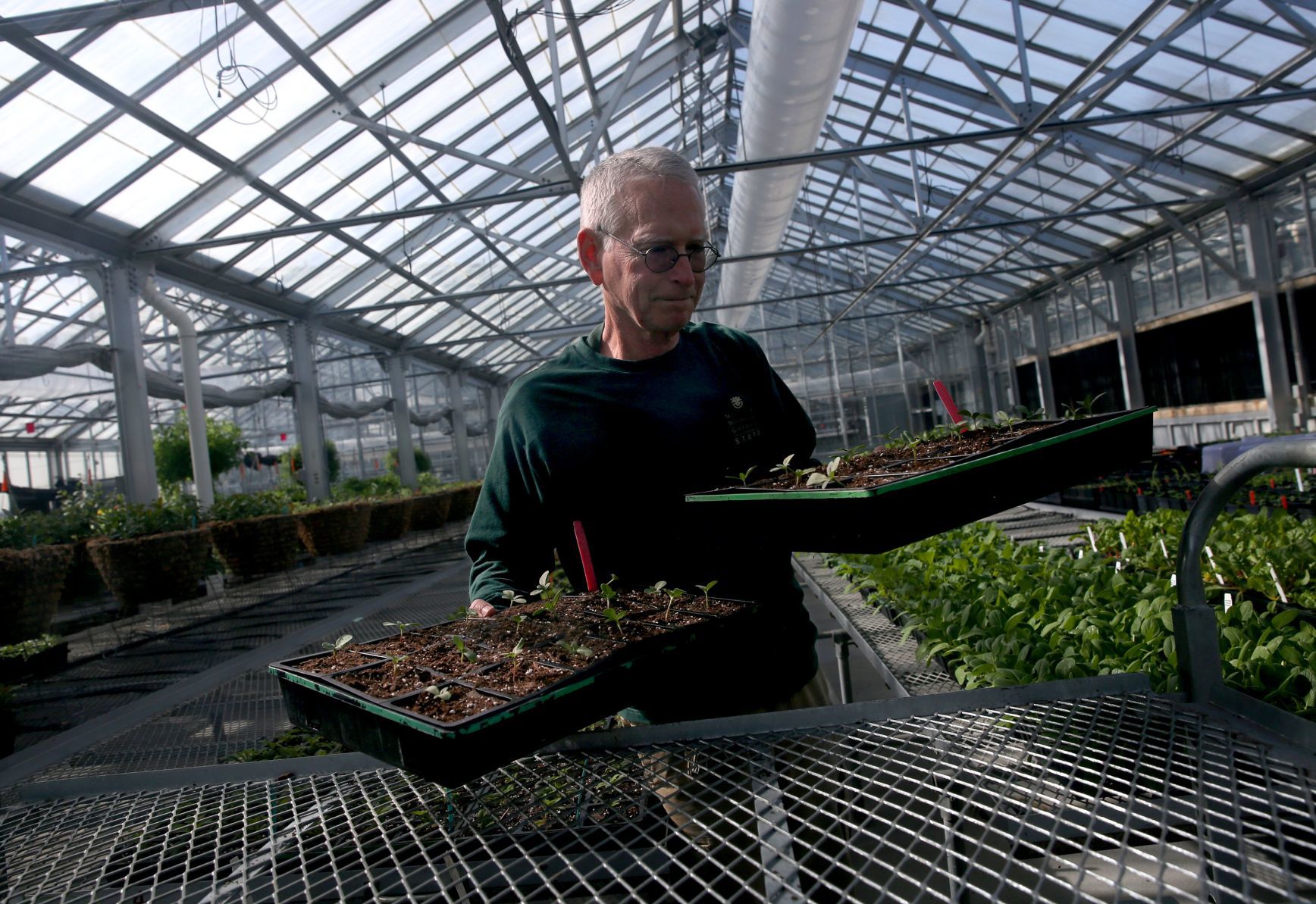 Longtime MoBot horticulturist retiring